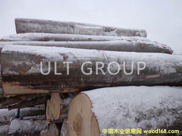 �����m��ľ��Ԕ����B