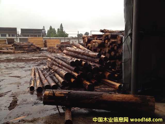 [��] �ձ�ɼԭľ ��ɼľ ��ɼľ һ��؛Դ�M��