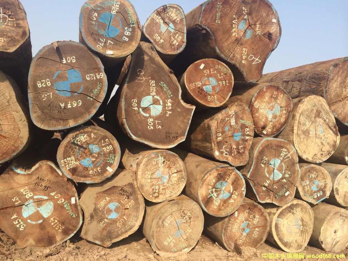 ����ľ��/��ľ��/Afrormosia