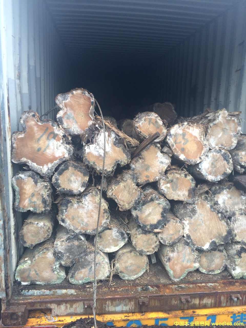 FSC 100%��˹�_�����ľ��Ԕ����B