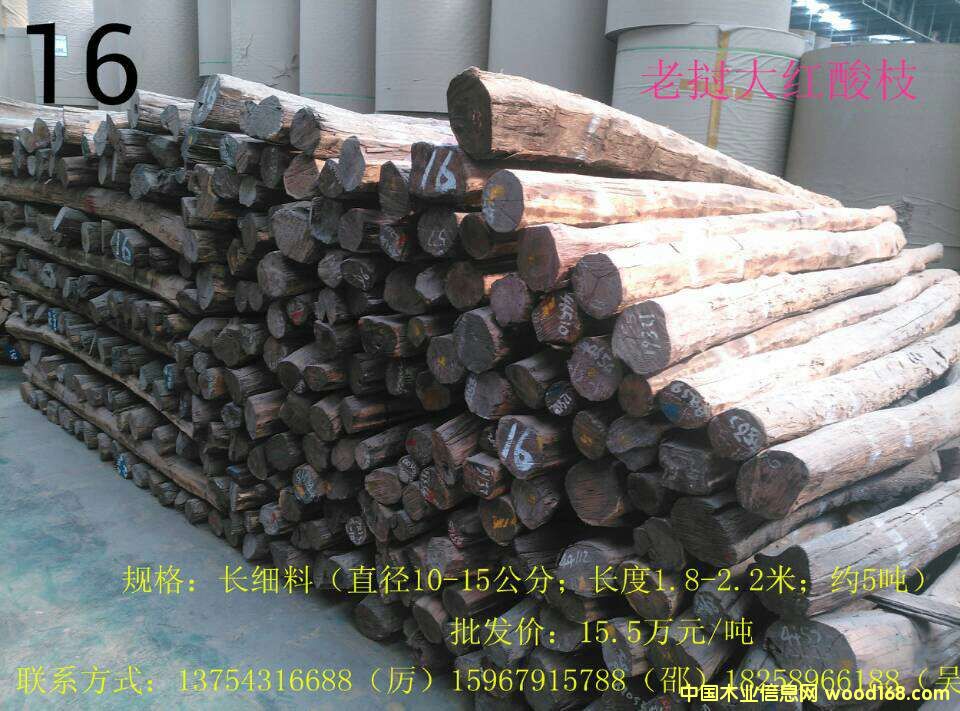 �ϓ��t��֦��Ԕ����B