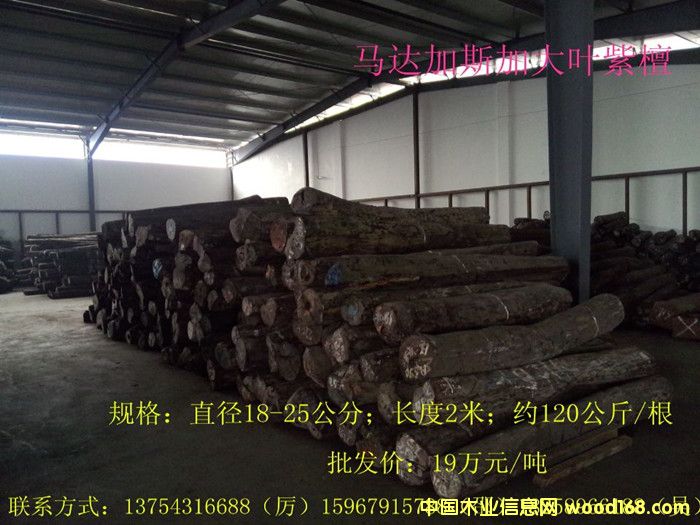 ���~��̴��Ԕ����B