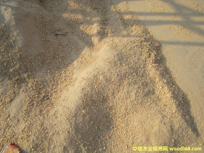 �ĩ2��Ԕ����B