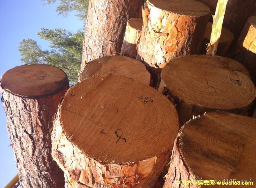 �����m������ԭľ��Ԕ����B