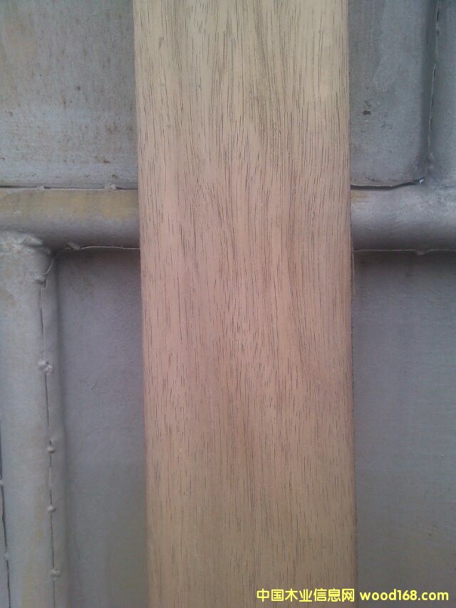 ���z����Ԕ����B