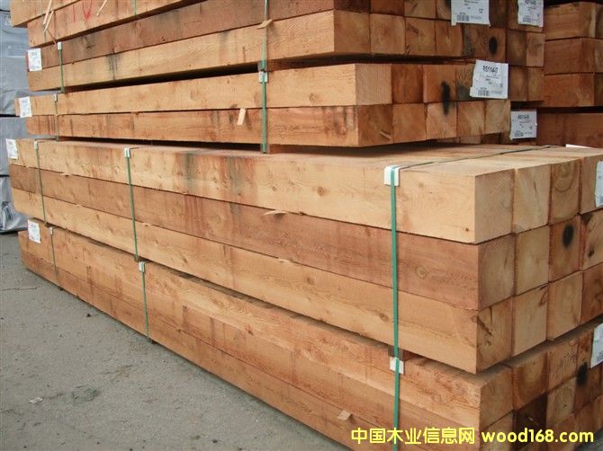 �tѩ�� �����tѩ�ɵ�Ԕ��(x��)��B