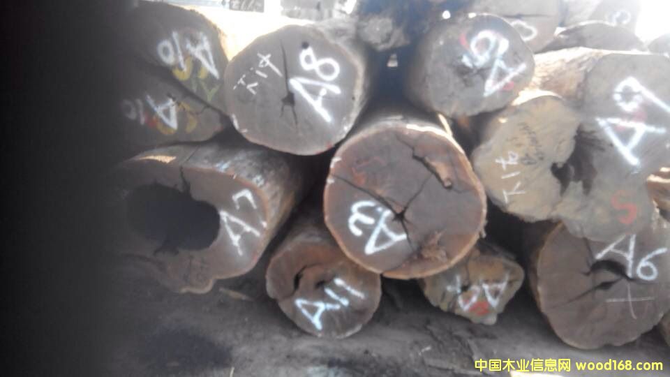 ���_�T��̴��Ԕ����B