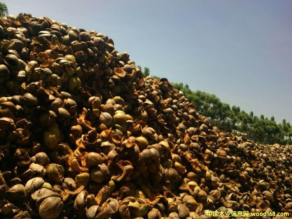 Ҭ�ӣ���Ҭ��Ԕ����B