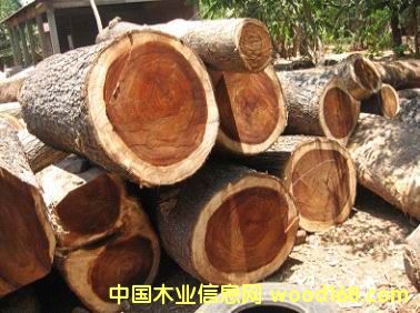 �V��|����|�Ϻ������M�ڈ��P���P�\ݔ����