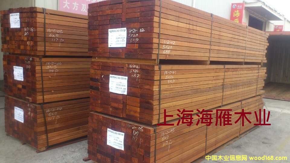 ӡ�Ფ�}��-��ĵ�Ԕ����B