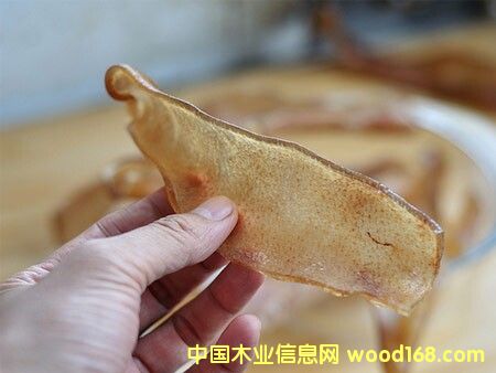 ������˹���iƤ���O���Ԕ����B