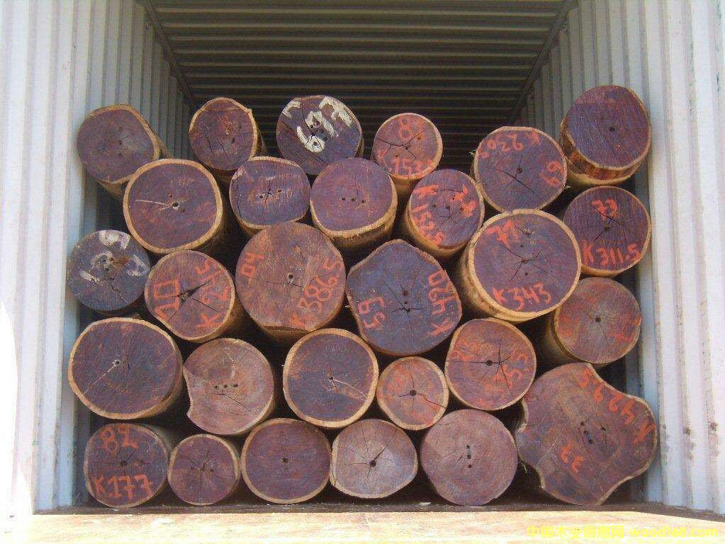 ������t̴��