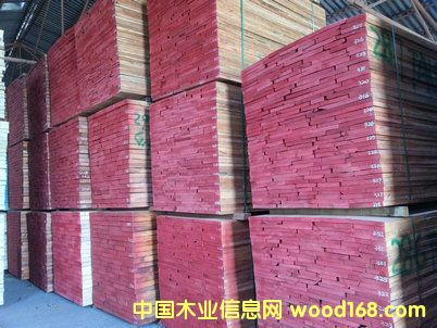 ��ľ��ɰ�ĵ�Ԕ����B