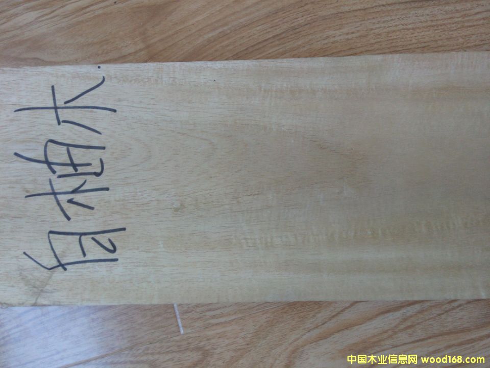 ����ľ��Ԕ����B