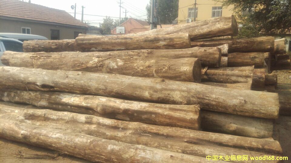 �������ľԭľ��Ԕ����B