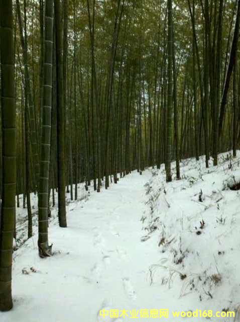 ��� ë�� ��Ƭ ��U ����Ʒ