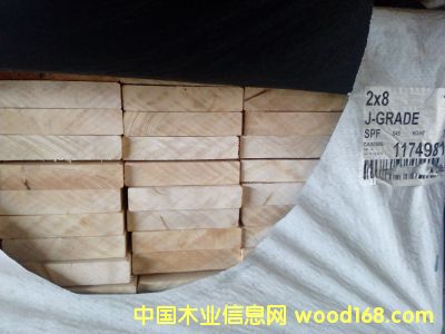 J��TOLKO��Ԕ����B