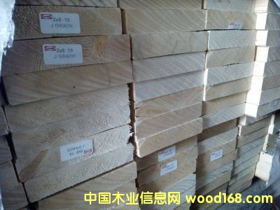 J���Ӹ���Ԕ����B