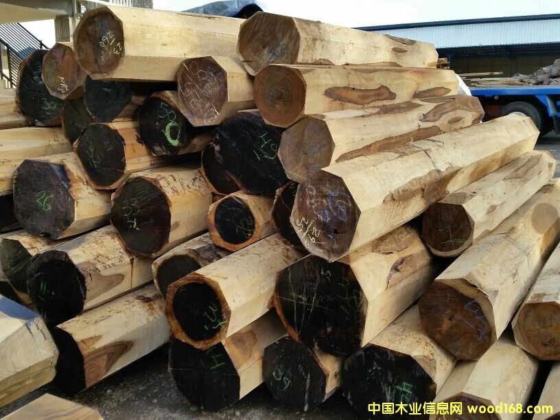 ӡ�����֦��Ԕ����B