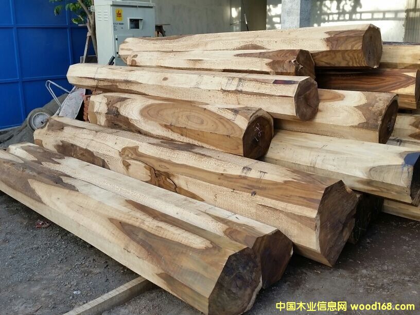 ӡ�����֦��Ԕ����B