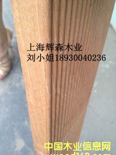 �̈́�1��Ԕ����B