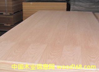 ָ�Ӱ����z�ϰ��������z�ϰ塢�����N����Ӱ��Ԕ����B