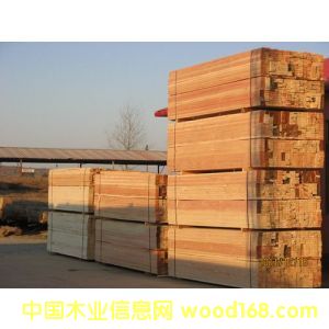 ����ľ����Ԕ����B