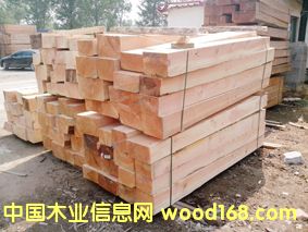 ����۲ĵ�Ԕ����B