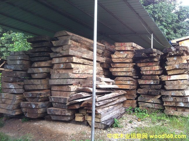 �R������������Ԕ����B