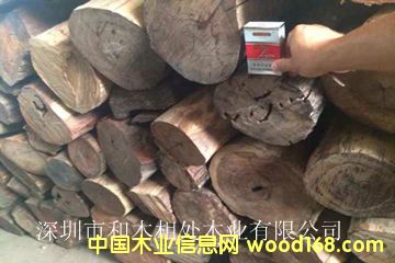 ��t��֦��Ԕ��(x��)��B