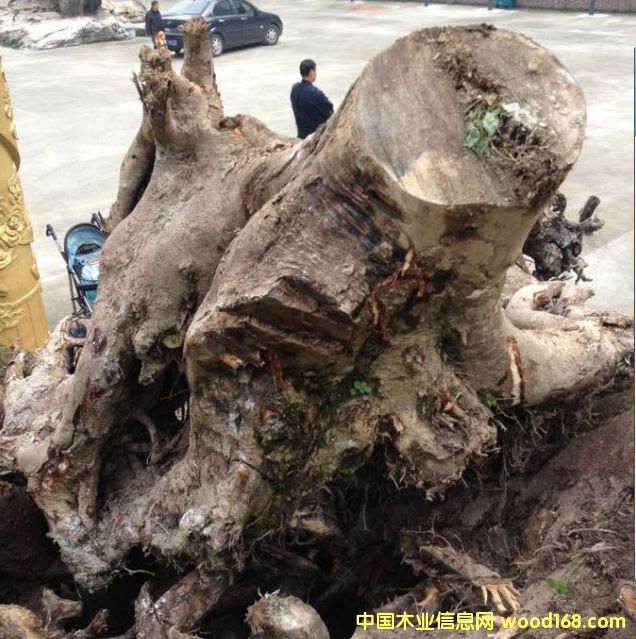 �Ĵ���z�ľ�䘶��Ԕ����B