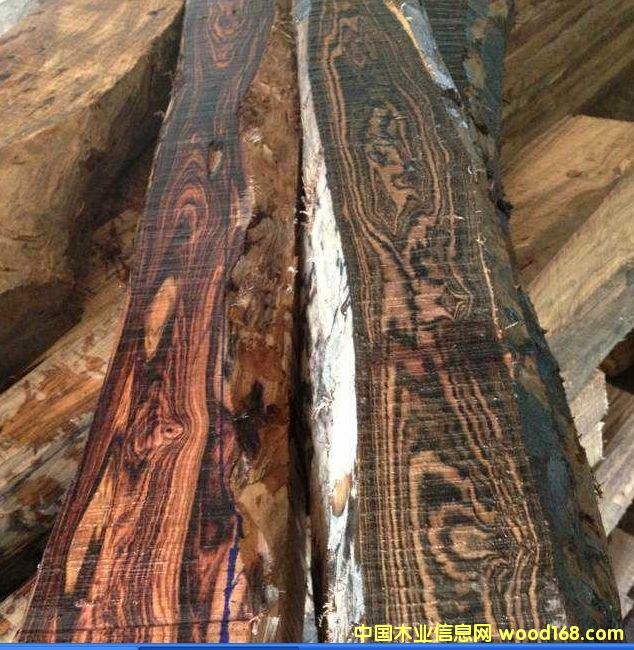 �����V�����|����ľ��Ԕ����B