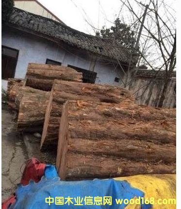 �t��ɼ��Ԕ����B