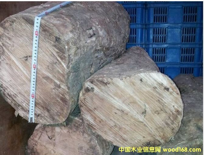 ������С�~�S��ľ��Ԕ����B