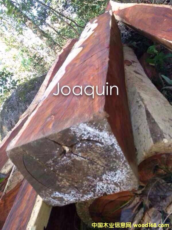 �����R΢���S̴��Ԕ����B