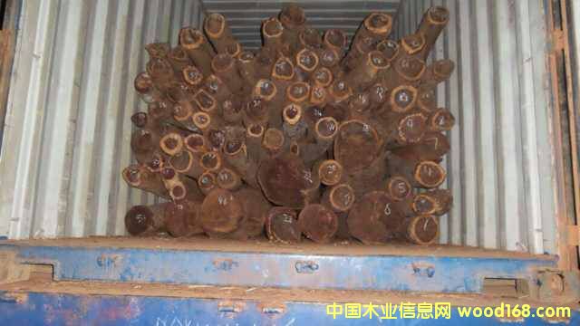 ٝ�ȁ�Ѫ̴��Ԕ����B