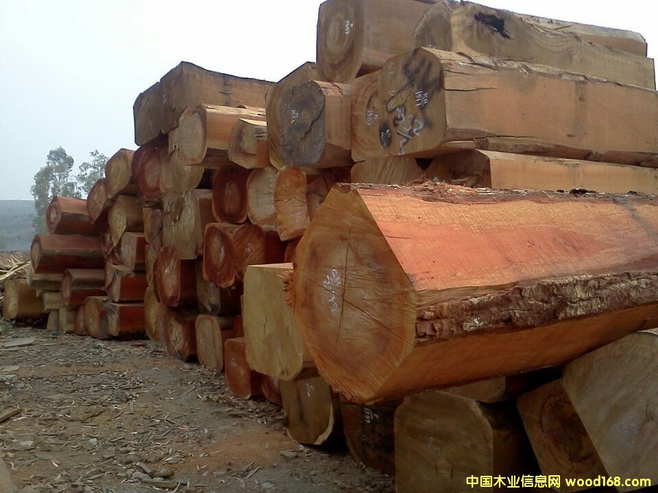 �����̴��̩���㻨�棩��Ԕ����B