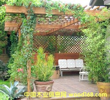 ����ľ��Ԕ����B