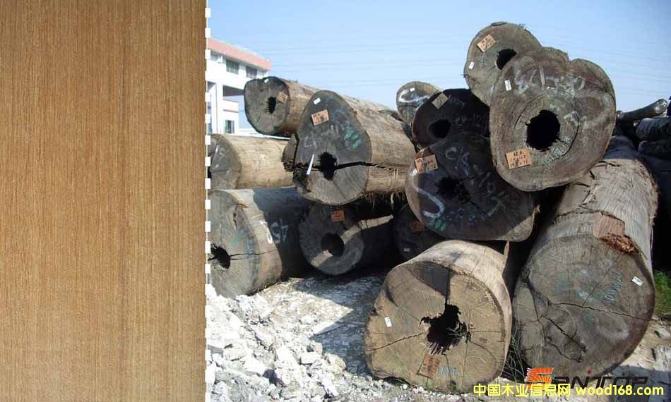 �S�̈́�ľ��Ԕ����B