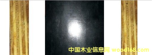 �������N���] Ʒ�|�����ˮ����Ĥ�帲Ĥ�塾�gӭ�����ԃ����Ԕ����B