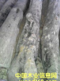 С�~�S���Ԕ����B