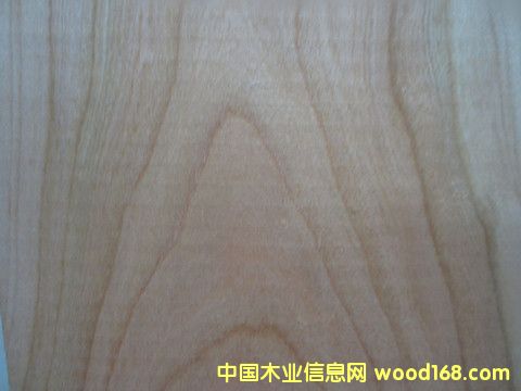 ���ҵ�Ԕ����B