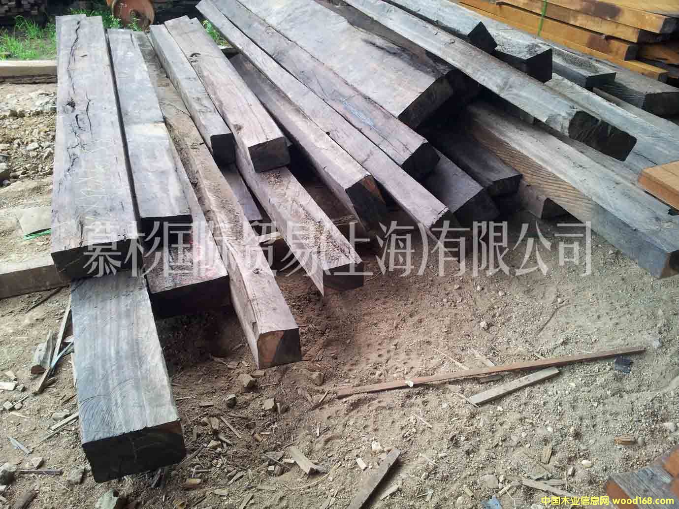 �K��������ľ