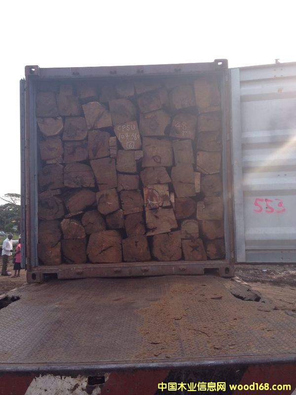 ���������������Ԕ��(x��)��B