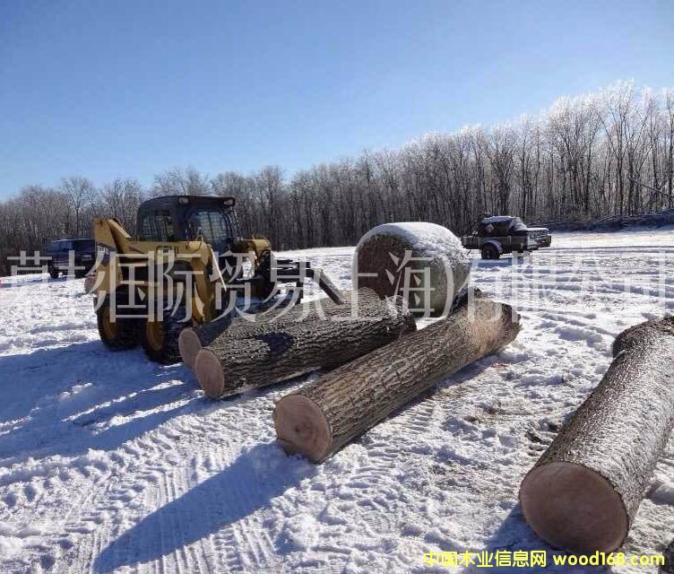 �����t��