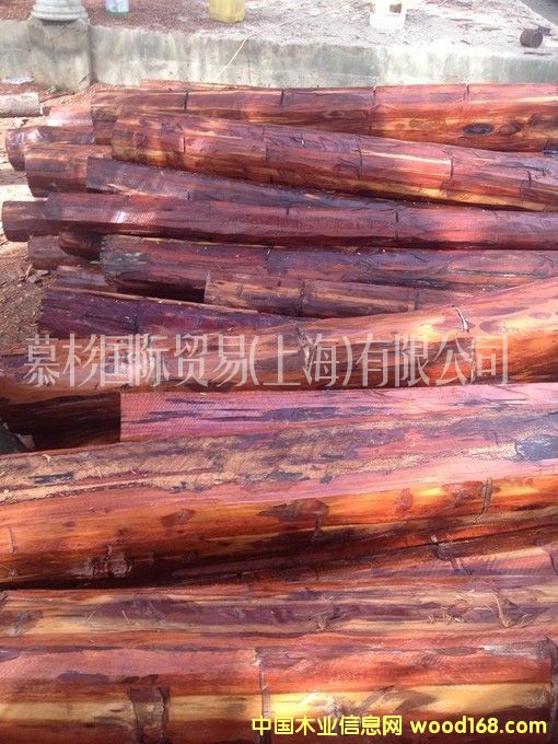 �߼yľ��Ԕ��(x��)��B