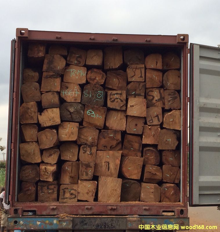 ���������������Ԕ��(x��)��B