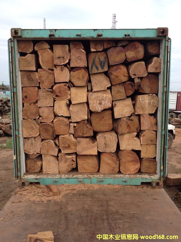 ���������������Ԕ��(x��)��B