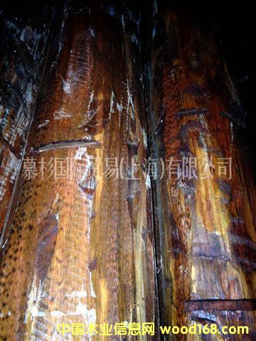 �߼yľ��Ԕ��(x��)��B