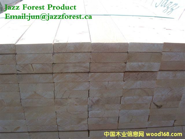 [��] ���ô���ľ�Ĺ�˾ֱ������SPF������ɼ���Fɼ